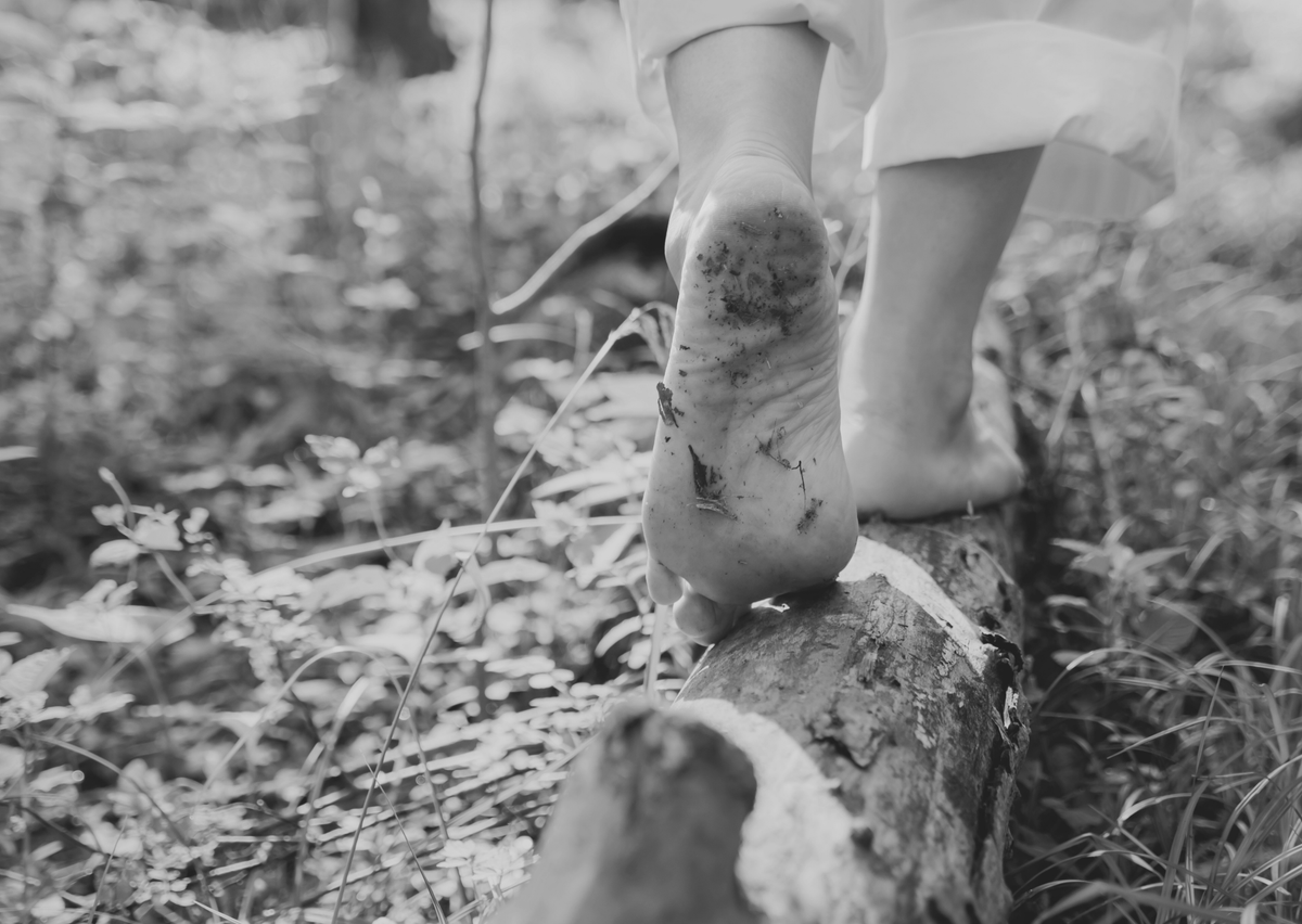 ARANOVA: Audiovisual Software Factory & Lab tweet media