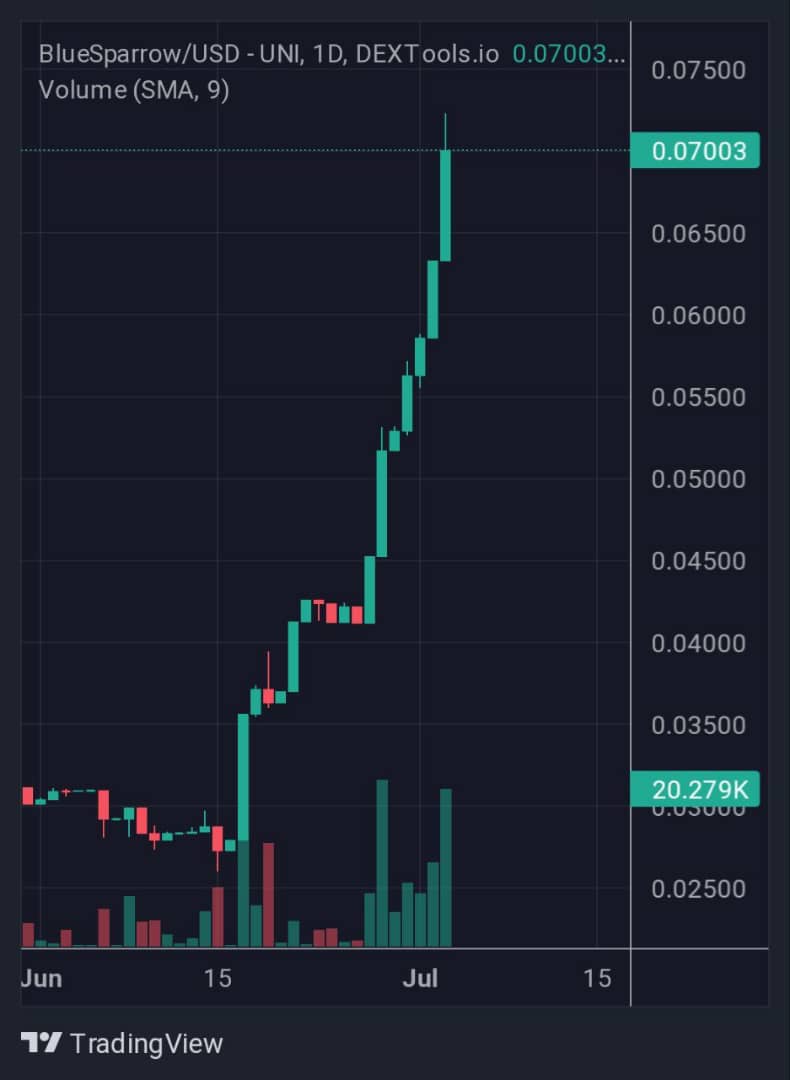 Chetin56's tweet photo. #BlueSparrow stands as the premier native token of #BlueBit_io Exchange and #BlueVinci.io #NFT Marketplace.
🐦Future
🐦Margin
🐦Staking
🐦IEO
🐦Android and iOS app
🐦NFT marketplace
🐦NFT collection
Building more
Wait for more exciting news...
@BlueSparrowETH
@Bluebit_io https://t.co/vNGvMTmsdF