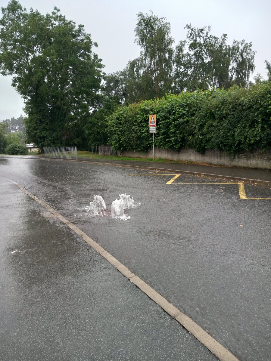 Timothy Whitton tweet media