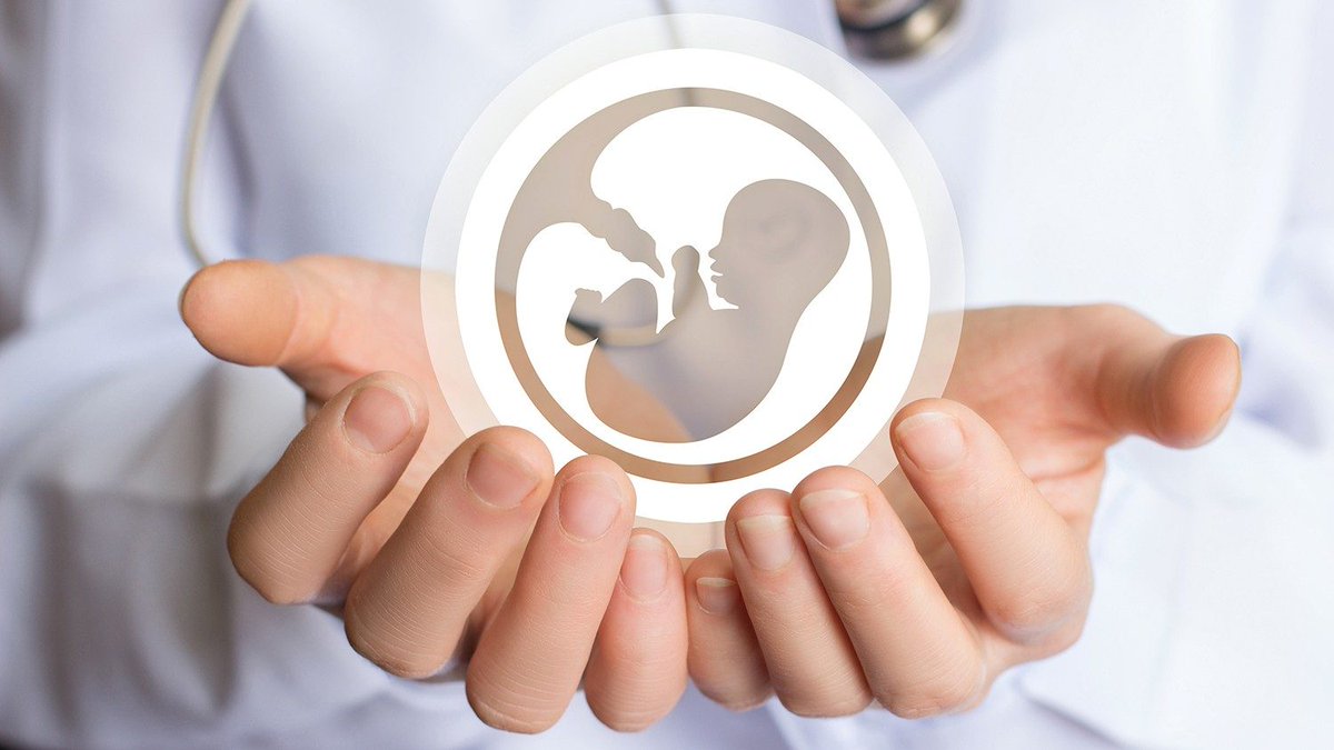 Family_andmedia's tweet photo. ALGUNOS CONSEJOS PARA HABLAR DEL ABORTO SIN SER «LINCHADO» EN EL DEBATE PÚBLICO https://t.co/AjT9oyears