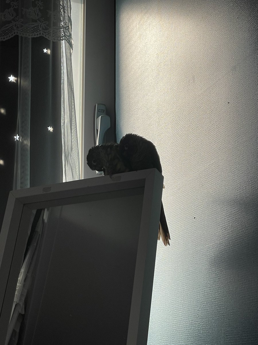 나른한 오후에요