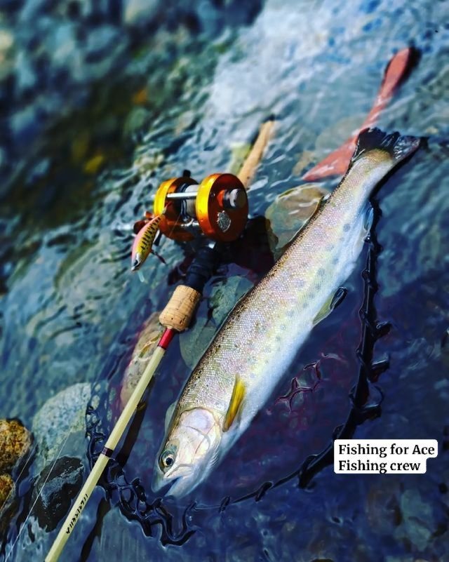Hurisente's tweet photo. @XPLA_Official #XPLA #XPLAGAMES 
Fishing for Ace Fishing crew https://t.co/2bBXMDJ9kB
