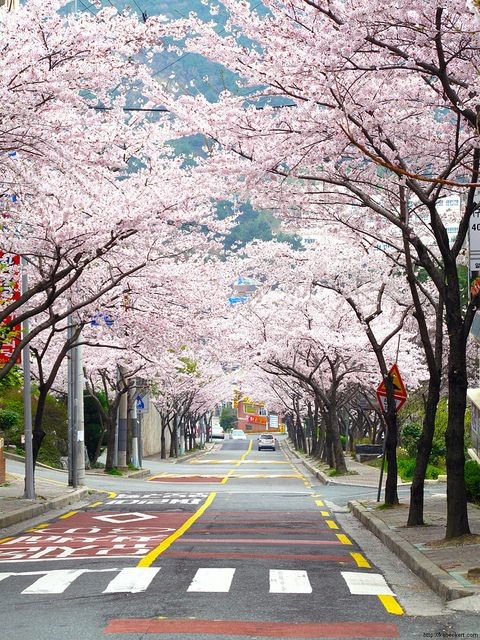 사회의 첫 번째 의무는 정의라고 생각합니다.