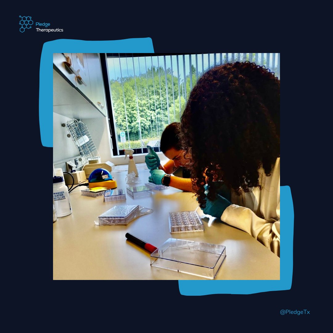 PledgeTx's tweet photo. Monday in our #European  HQ--Louanne and Cristina are on fire greasing up their #crystallization plates and prepping for a great round of crystal optimization, looking forward to seeing some nice protein crystals soon! 
#Lablife #Science #research #investigation #crystallography https://t.co/AwFjuNGljD