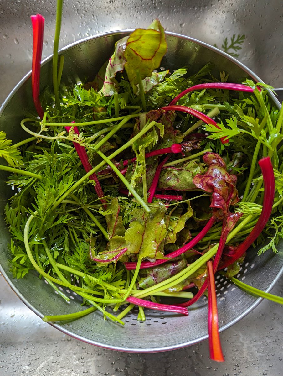 Leyla Kazim tweet media