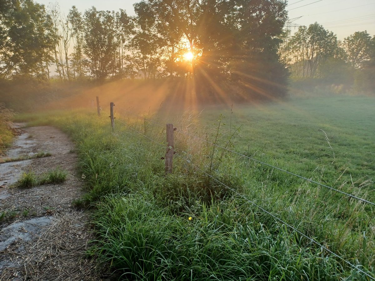 Jadesprosse's tweet photo. morning has  broken.... https://t.co/SuhBKh3DsL