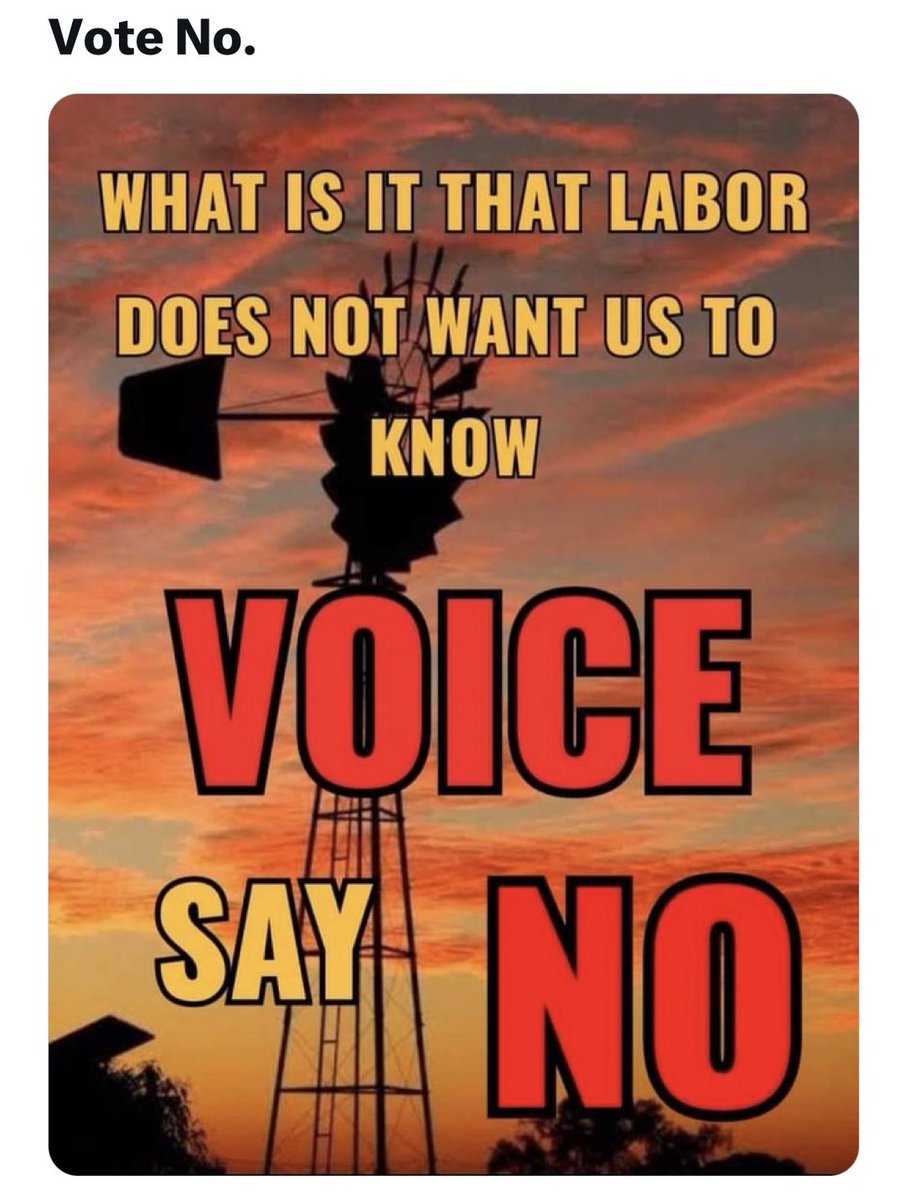 RositaDaz48's tweet image. Because I have the view that is different than the ‘yes voters’ who can not tell me why they are ‘#votingyes’ they abuse me instead .. so full of vile words so glad i gave up on that mob when Keating took office.. 💧

#VOTENOTOTHEVOICE 

#Voteno 🇦🇺
#VoteNoagainstbullies.