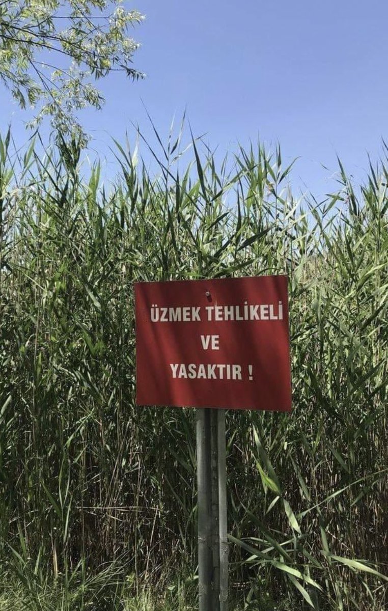 TAJNA (@tajnavl) on Twitter photo 