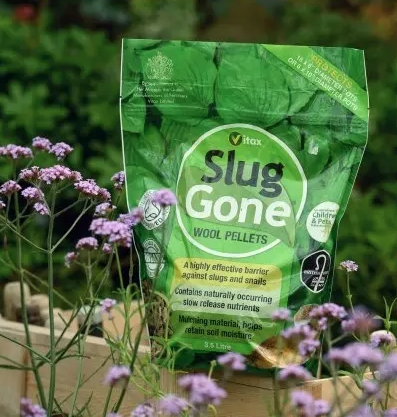 lawsonsltd's tweet photo. Keep bugs, insects and pests at bay with our range of pest control products.  We have pest control for your plants, insect &amp; spider repellents as well as mouse traps and repellents too.  

https://t.co/6N9nzxv05V

#pestcontrol #bugclear #insectrepellent #InsectRepellentSpray https://t.co/TNGElGJhQU