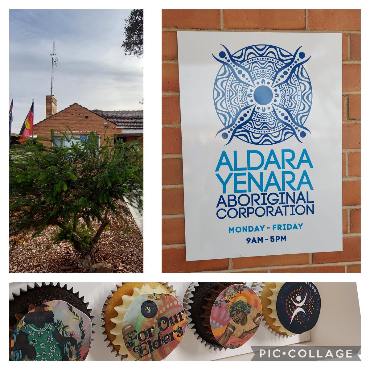 Corinamodderman's tweet photo. A far drive today all across beautiful Yorta Yorta Country to attend the opening of the Aunty Faye Community Hub at #Kyabram #Health.  The work Aldara Yenara does continues to impress, so many people in support today and celebrating Aboriginal cultures #NAIDOC2023
#ForOurElders https://t.co/hG9Oj0oE94