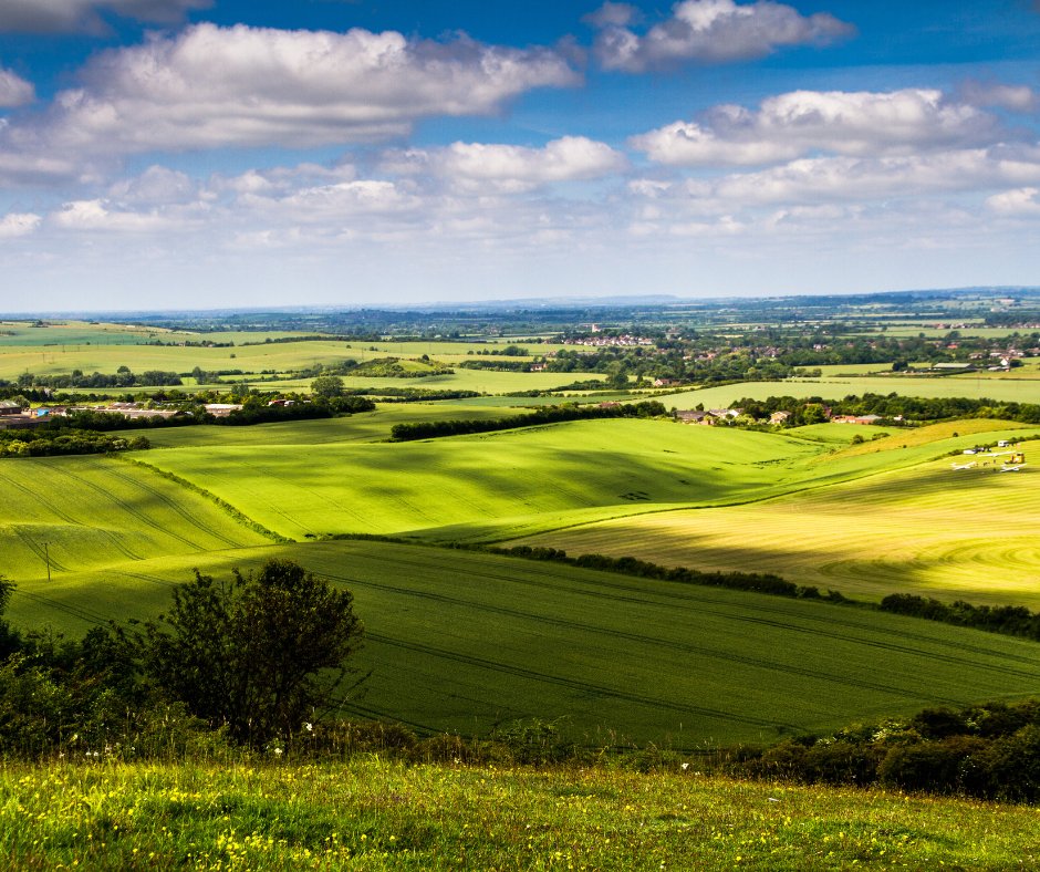 Introducing the new edition of The Chiltern Way - your ultimate walking guide to exploring the breathtaking beauty of this circular route. 👣

Includes detailed maps and photographs.

Order now on our website 👉bit.ly/4422jHw  

#thechilternway #aonb #walking