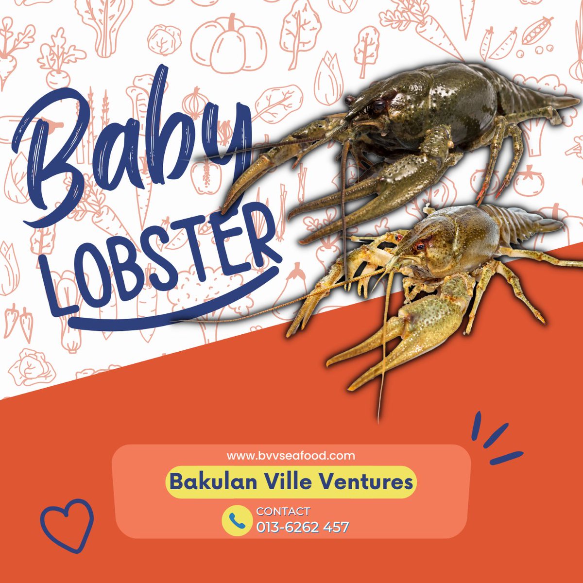 Baby Lobster/ Yabbies

Gross Weight : 1 Kg
Nett Weight : 600 Gm
1 CTN : 10 Pack

Size:
4/6 Pcs
6/8 Pcs
9/12 Pcs

#seafoodsupplier #frozenseafood #babylobster