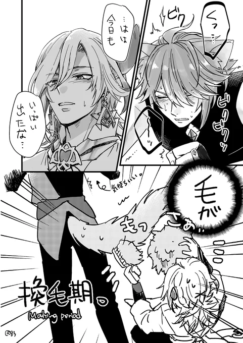この時期になると猫後輩に毎日いっぱい出されちゃうお世話係アルカヴェ🐈🌱🏛️ #haikaveh 
