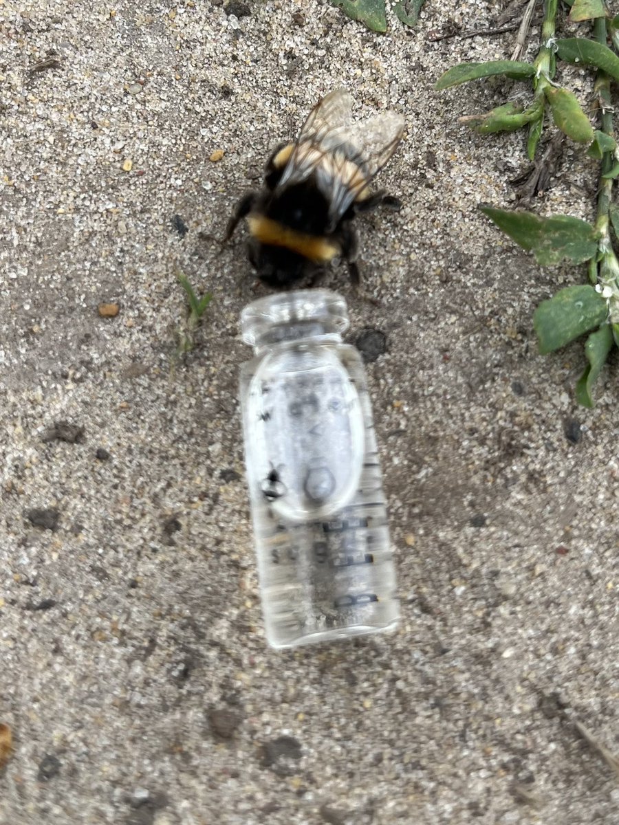 Jenni Williams 🇺🇦 tweet media