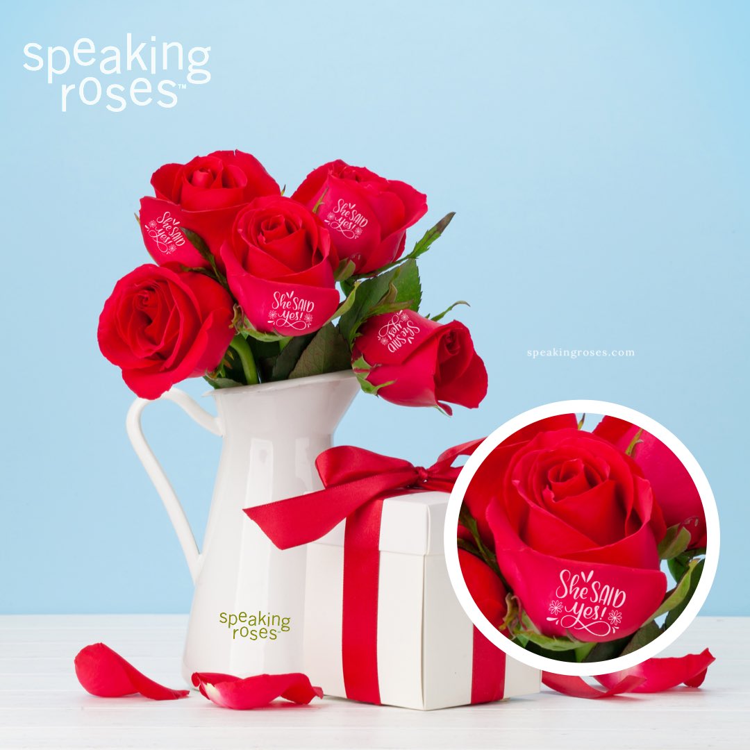 Speaking Roses Printer Food
