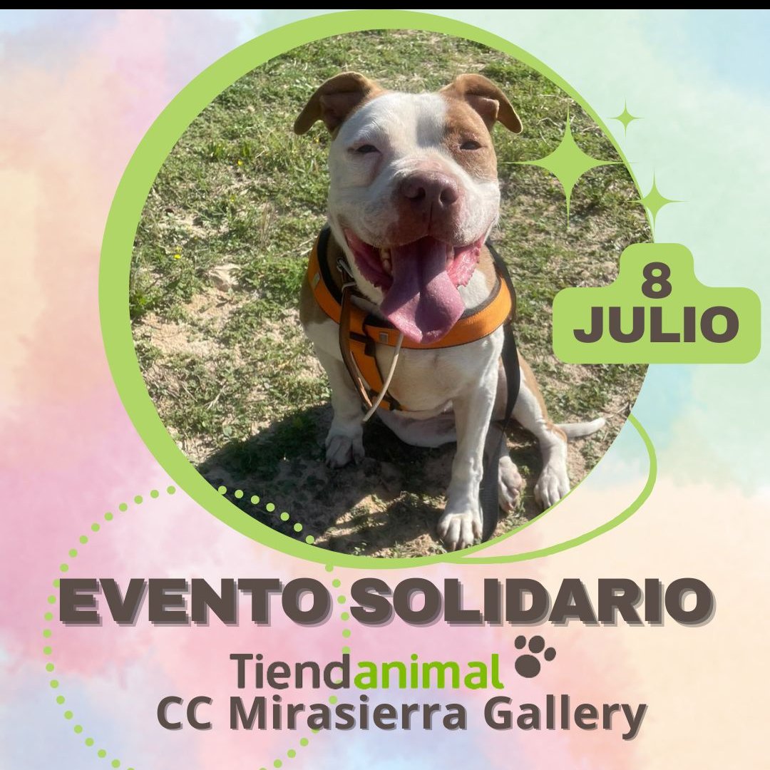 Life4pitbullsMADRID (@life4pitbullsm) on Twitter photo ¡Familia! ¡Os traemos el próximo evento!
Os esperamos en el <a href="/tiendanimal/">Tiendanimal</a> del C.C. Mirasierra Gallery el sábado que viene, ¡no faltéis! ¡Familia! ¡Os traemos el próximo evento!
Os esperamos en el <a href="/tiendanimal/">Tiendanimal</a> del C.C. Mirasierra Gallery el sábado que viene, ¡no faltéis!