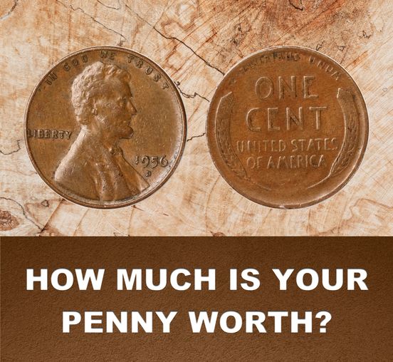 CoinSnap tweet media