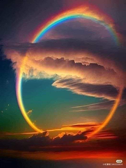 nebbianelsole's tweet photo. Questo è un arcobaleno nella sua completezza. La foto è stata scattata a 30.000 piedi di altitudine dal pilota Lloyd J Ferraro.Un arcobaleno  è in realtà un cerchio completo ma da terra se ne vede solo una parte.Da un aereo invece di può osservare nella sua meravigliosa bellezza https://t.co/1vLnDoXaqK