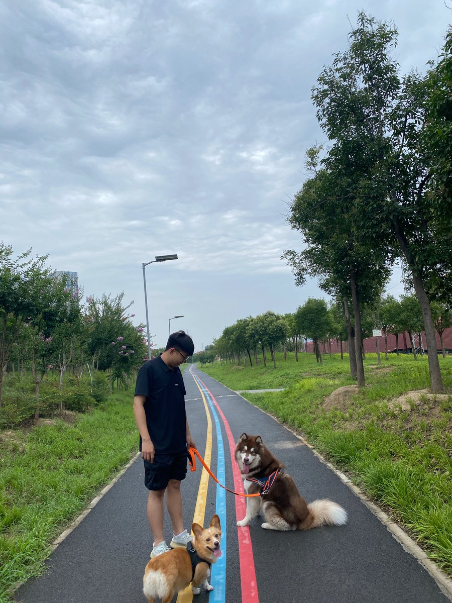 IOstaviti's tweet photo. 多云天与小狗 https://t.co/cmpM1xTuGj