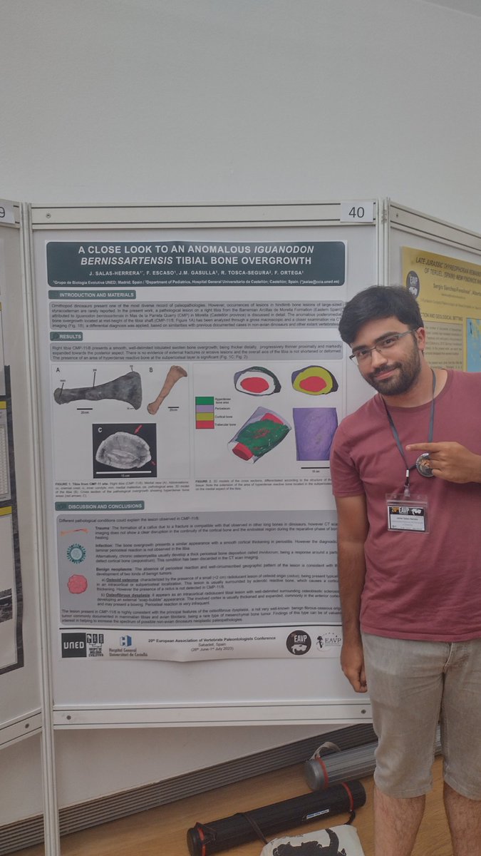 #EAVP2023 During these days, it has been a satisfying experience, surrounded by great professionals, old paleofriends and new amazing people. Paleopathologies have been presented in the poster sessions and I'm very glad to share a little portion of our research <a href="/UNED/">UNED</a> <a href="/biouned/">Grupo Biología UNED</a>