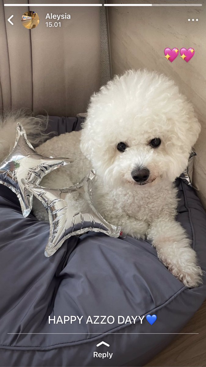 haktology's tweet image. azzo dayyy!!

#gangicha two tweets