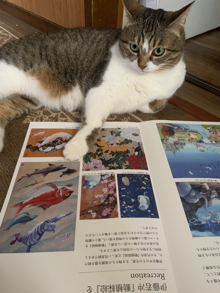 Ryohei60's tweet photo. 福岡日動画廊での個展まで後12日🐈 https://t.co/1VLoOYGaIU