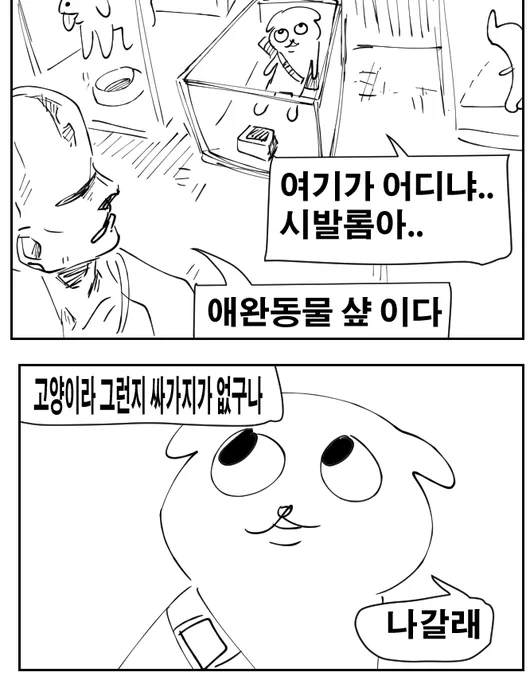 tmi긴 한데 로니 성격 얘한테서 따왔어요

지랄묘 형제임  로니 언제 한번 땅콩 따야 되는데 몇 화에 따지 