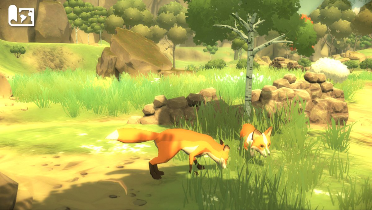 Back on Foxen again after a few months working in the Metaverse and to celebrate I’ve got shadows working on the updated grass shader which makes a massive difference.
#gamedev #indiedev #indiegame