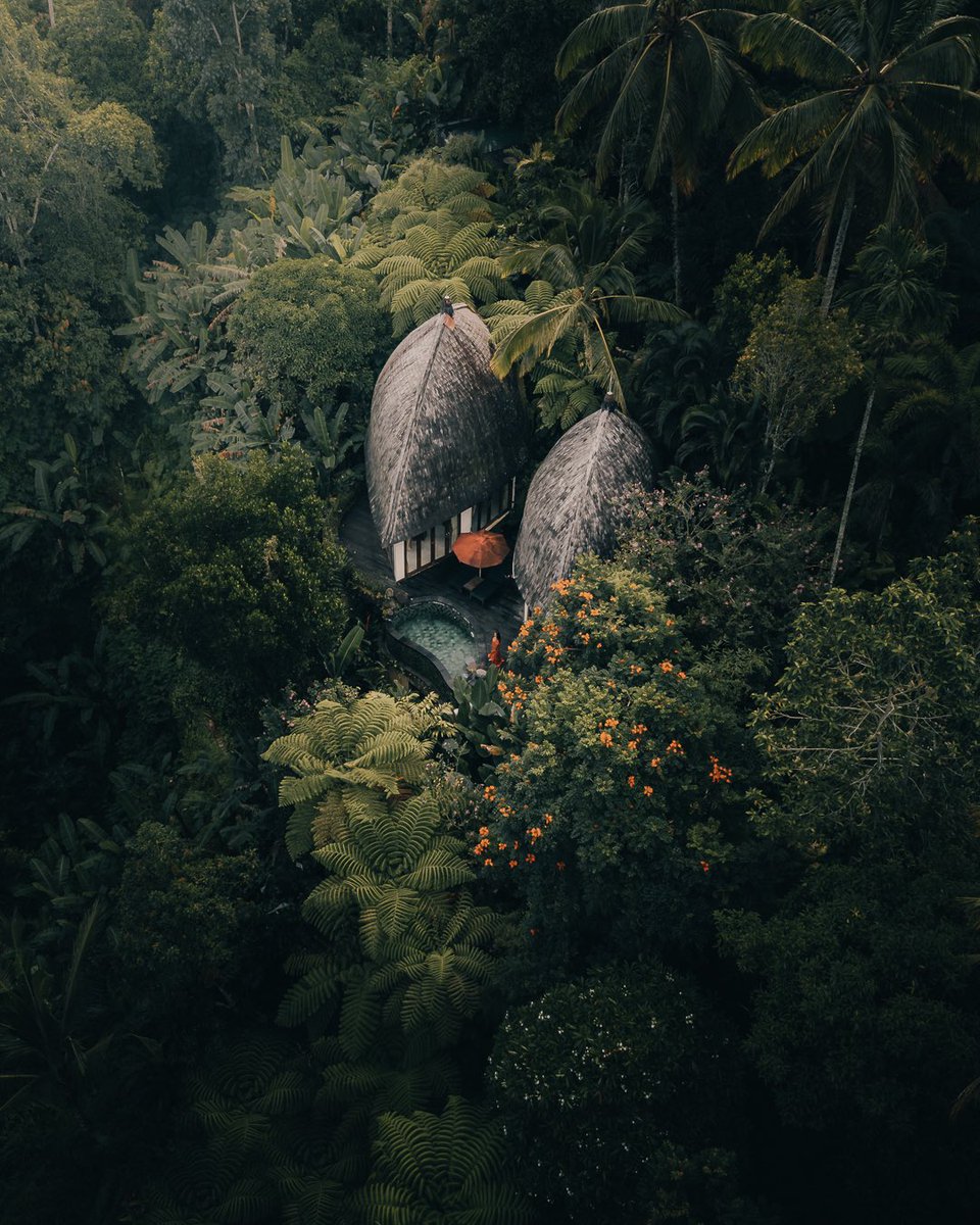 GM with postcards from Indonesia 🌿