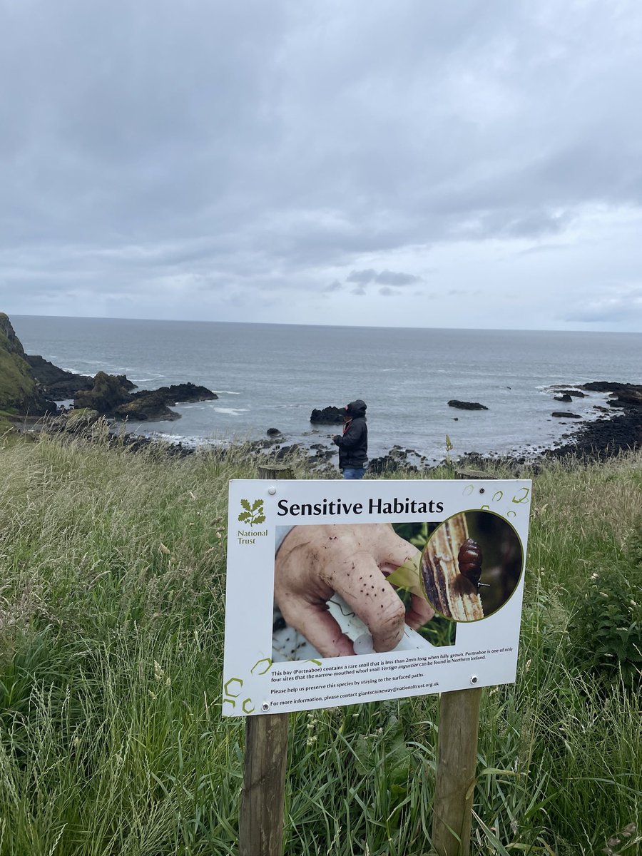 Becca Kennedy tweet media