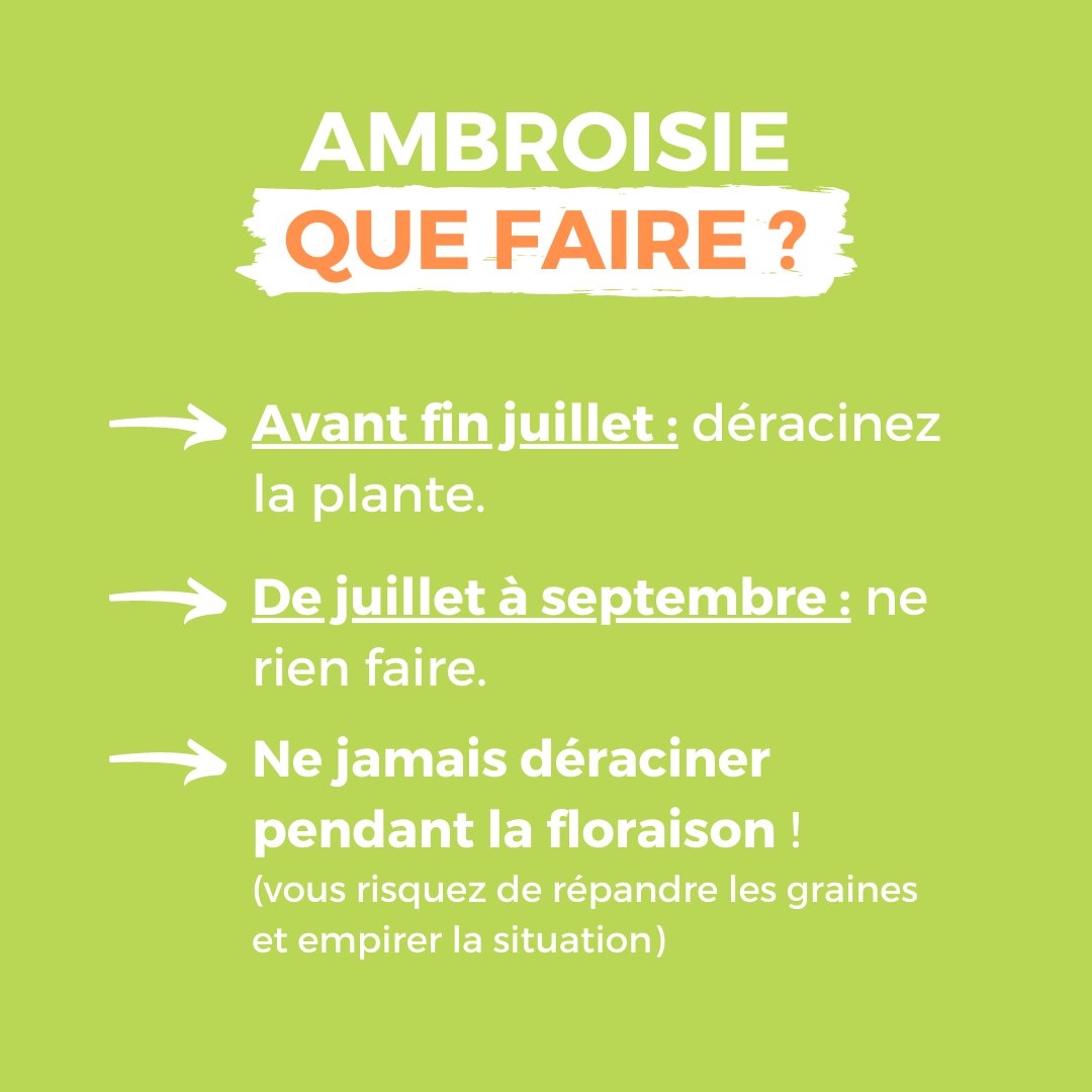 ARS Nouvelle-Aquitaine tweet media