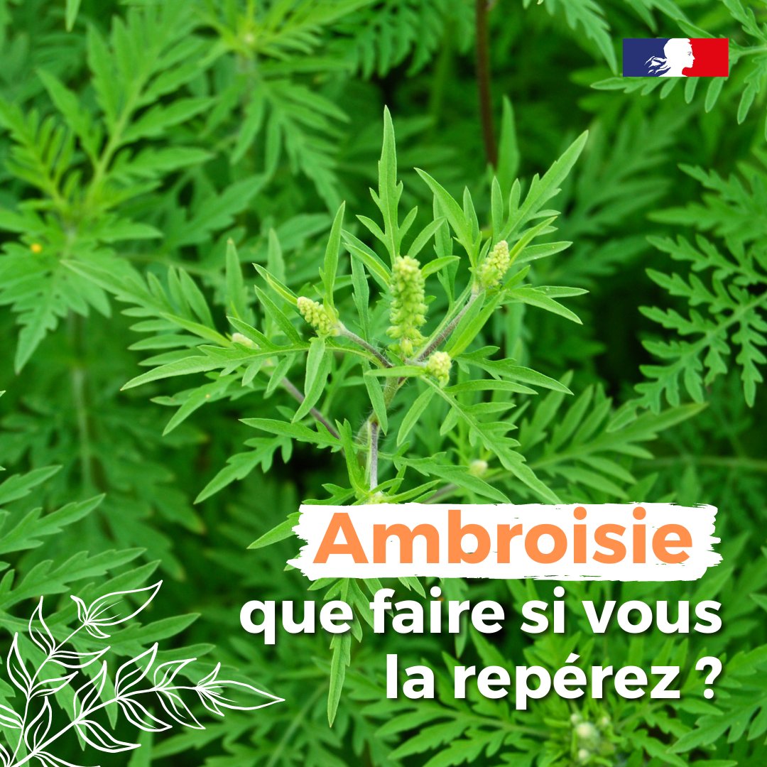 ARS Nouvelle-Aquitaine tweet media