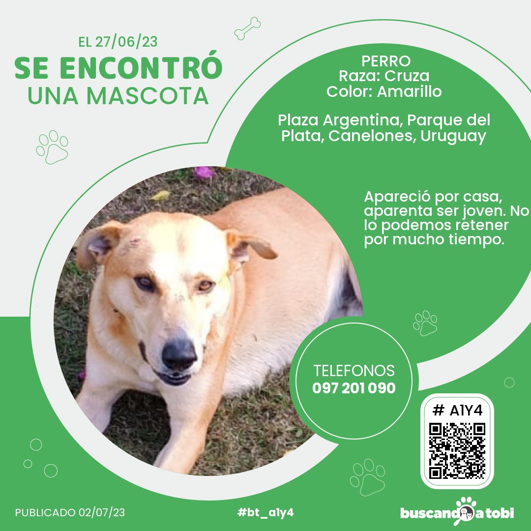 buscandoatobi.com tweet media