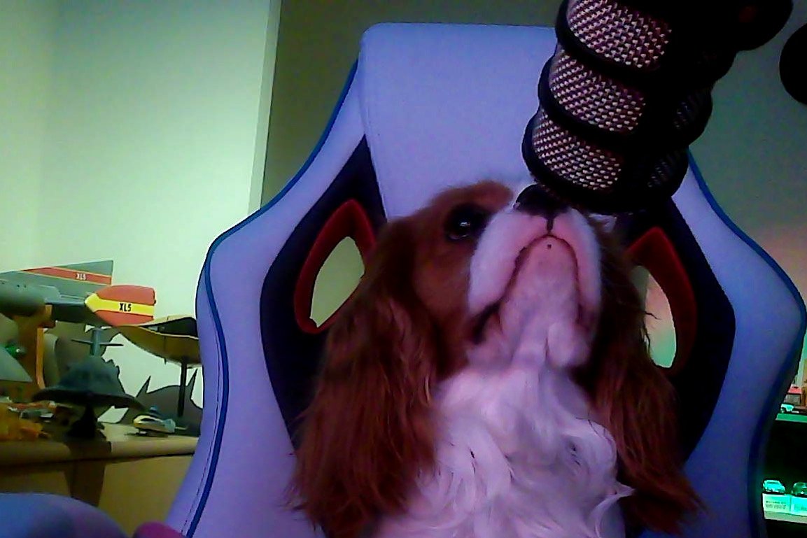 Dogsthorpe Infant School tweet media