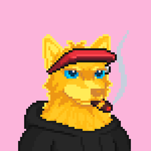 Tradicional Wolf tweet media
