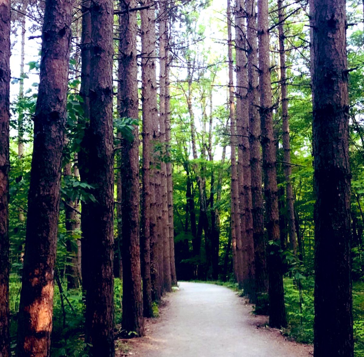 Sweet Sav tweet media