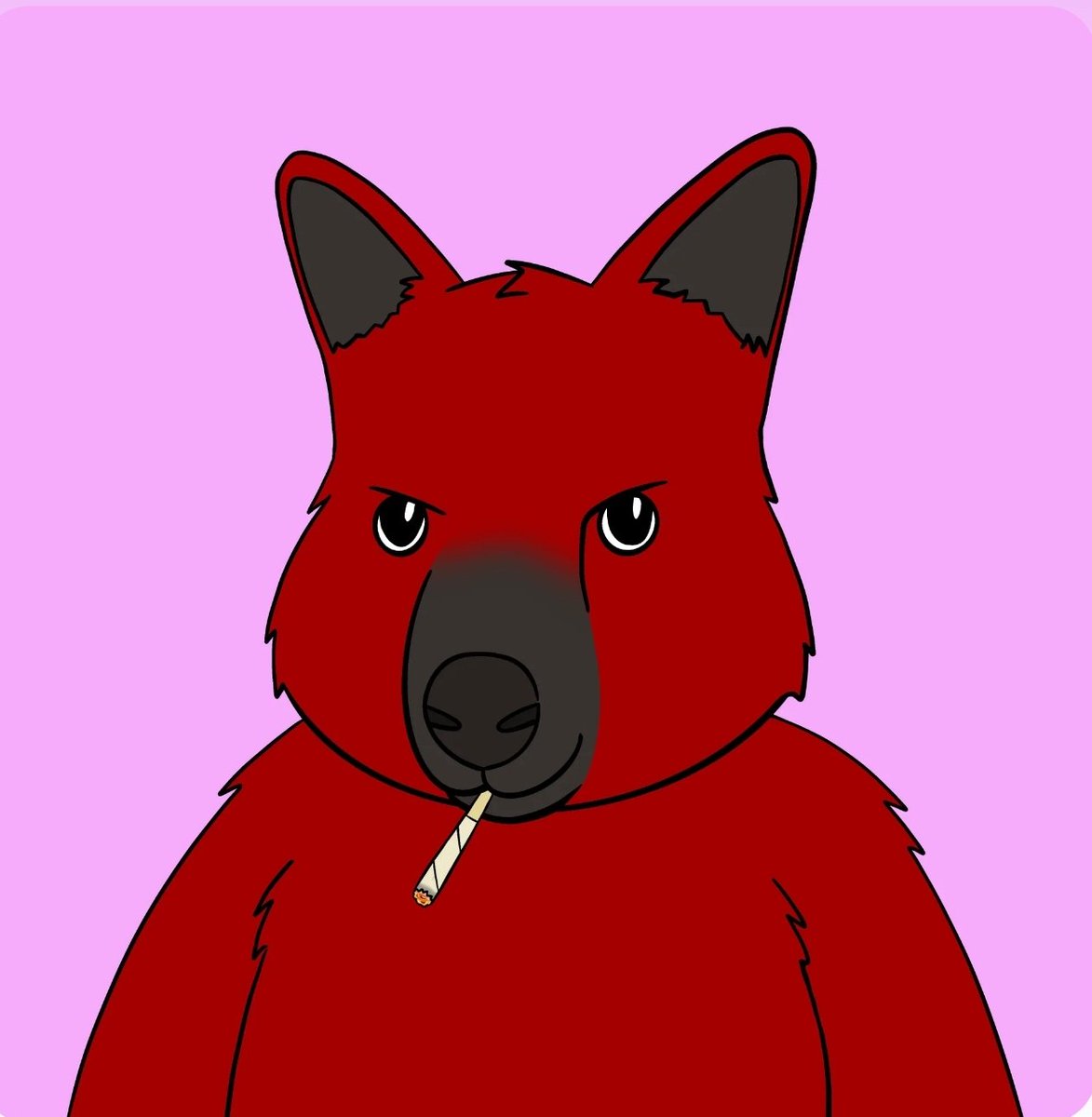 Patty Mack tweet media