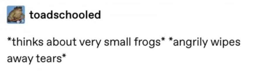 ──── 𝘗𝘳𝘪𝘯𝘤𝘦𝘴𝘴 𝘡𝘦𝘭𝘥𝘢 ۪۰۫ (@silentiprincess) on Twitter photo 