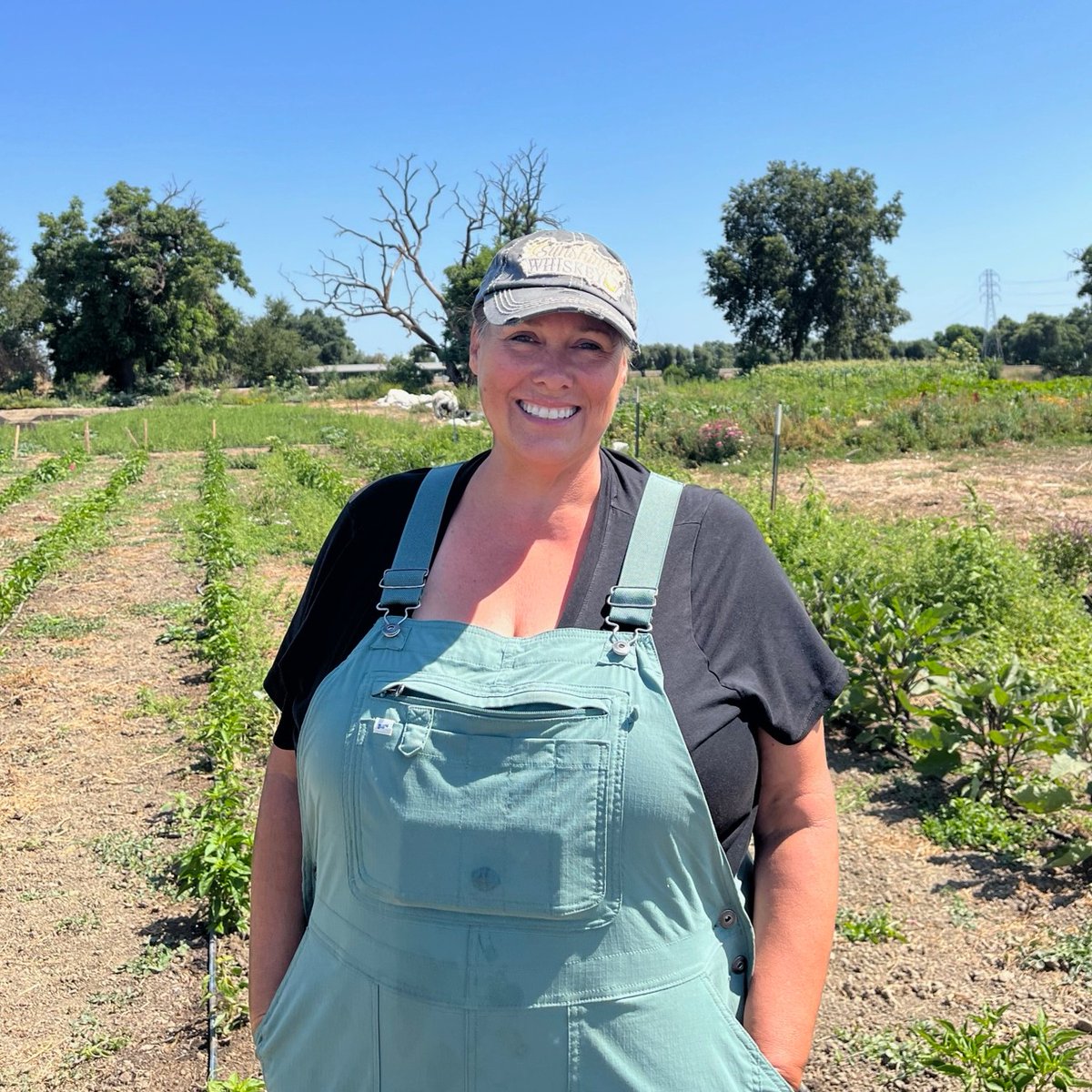 Whew - it's been hot! Our dedicated farmers are out there tending, cultivating and harvesting food and flowers in all kinds of weather, even when it's over 100°. Their dedication is unmatched! #thankyoufarmers #summeronthefarm #littlegemfarm #thetraxxfarmstand