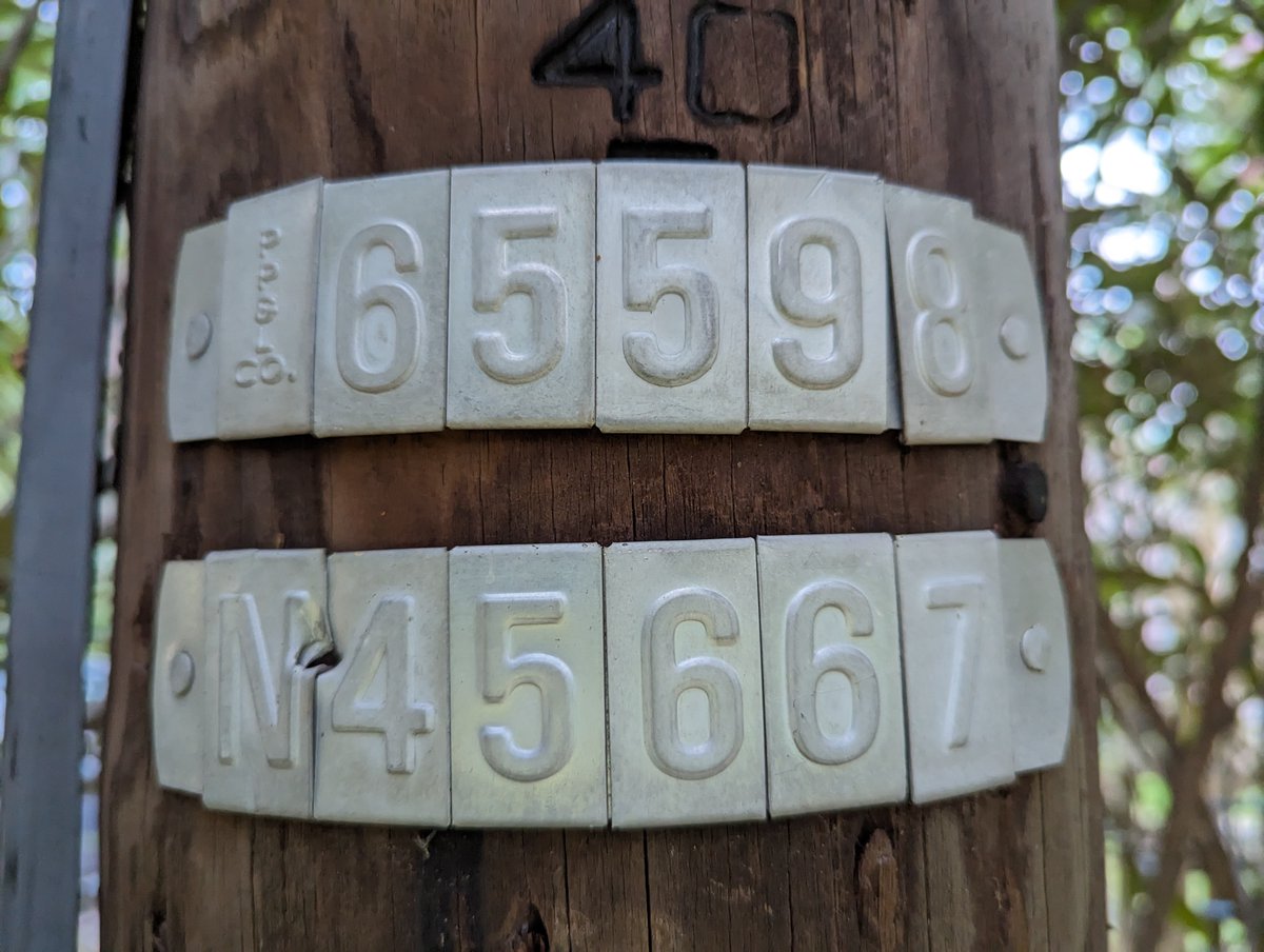 ScottLarsen's tweet photo. @PPLElectric We have a completely dead ~75' spruce tree about 25' from pole 65598 N45667 (gps of tree approx. 41.395100,-75.359400) and the pole-to-pole line. It's also 5' from our house line. Let me know if it's something your crews would handle or if we're on our own. https://t.co/MkFarWgKZt
