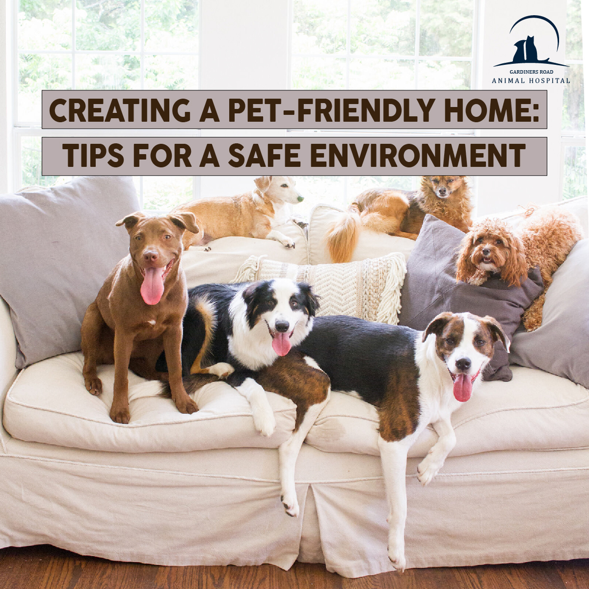grahkingston's tweet photo. 𝐂𝐫𝐞𝐚𝐭𝐢𝐧𝐠 𝐚 𝐏𝐞𝐭-𝐅𝐫𝐢𝐞𝐧𝐝𝐥𝐲 𝐇𝐨𝐦𝐞: 𝐓𝐢𝐩𝐬 𝐟𝐨𝐫 𝐚 𝐒𝐚𝐟𝐞 𝐄𝐧𝐯𝐢𝐫𝐨𝐧𝐦𝐞𝐧𝐭

A rising number of people are allowing pets like dogs and cats into their homes without sacrificing.....

For More Info: https://t.co/1NMalI3YPZ https://t.co/E3ln5AIYoZ