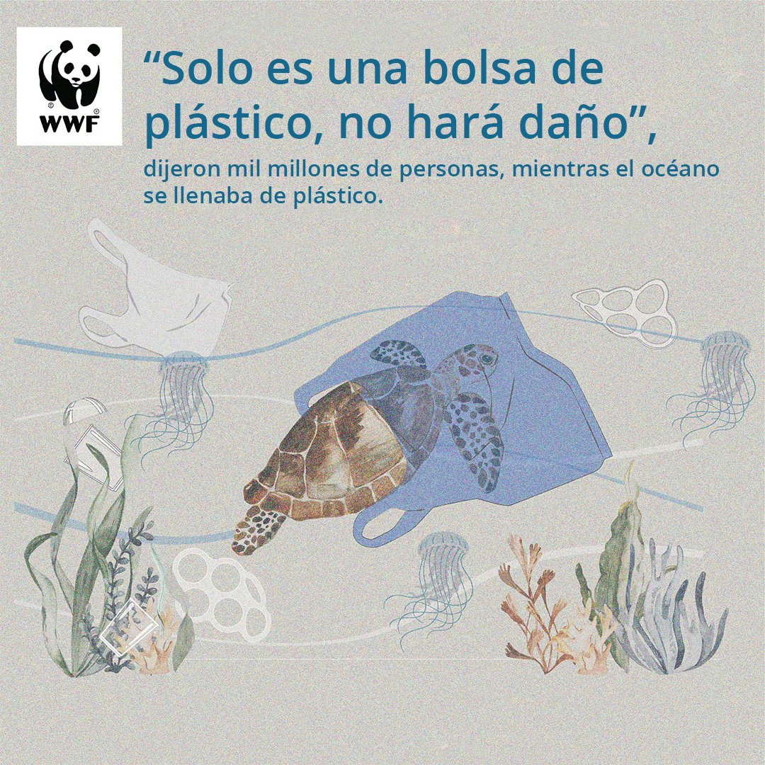 WWF_LAC's tweet photo. 1/3 Globalmente, arrojamos al mar trece millones de toneladas de plástico cada año afectando nuestro hogar y provocando que cerca de 100.000 animales marinos mueran por los plásticos cada año.
#DíaInternacionalSinBolsasPlásticas https://t.co/XkCuXt22xM