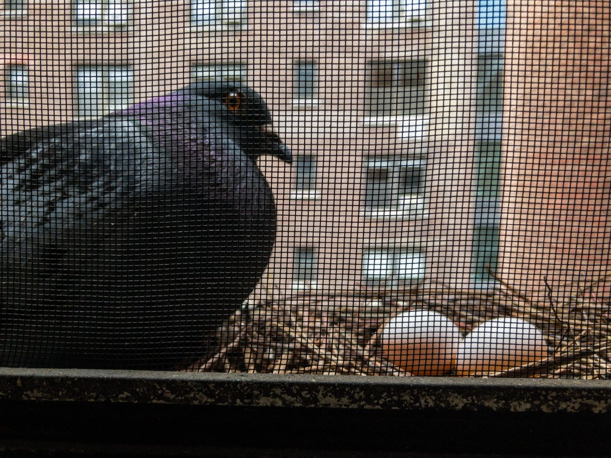 Sam Rubin tweet media