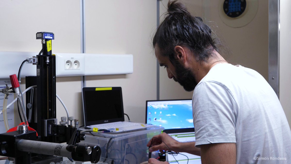 APERO Cruise tweet media