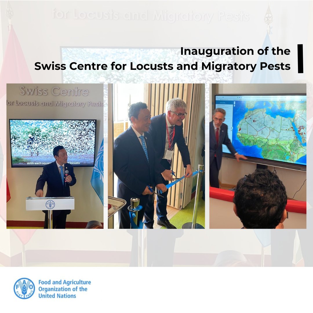 Today, <a href="/FAODG/">FAO Director-General QU Dongyu</a> &amp; <a href="/Christian9Hofer/">Hofer Christian</a> officially inaugurated the 🇨🇭Swiss Centre for Locusts and Migratory Pests at <a href="/FAO/">Food and Agriculture Organization</a> headquarters 🎉

Grateful to <a href="/CHblw/">BLW - OFAG - UFAG</a> for the support in our shared mission to combat global food insecurity and excited to continue our fruitful collaborations 💪