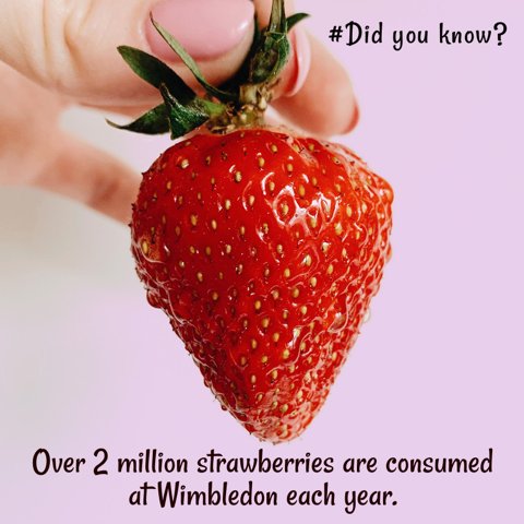 BigJuiceBar's tweet photo. Wow! 2 million strawberries at Wimbledon each year. Start with a few in our Big Five Smoothie. Happy Wimbledon 😊 
#winbledon #strawberry #smoothie #raw #fruit #naturalhealth #tennis #juice #delicious https://t.co/zsgI6jIcXq