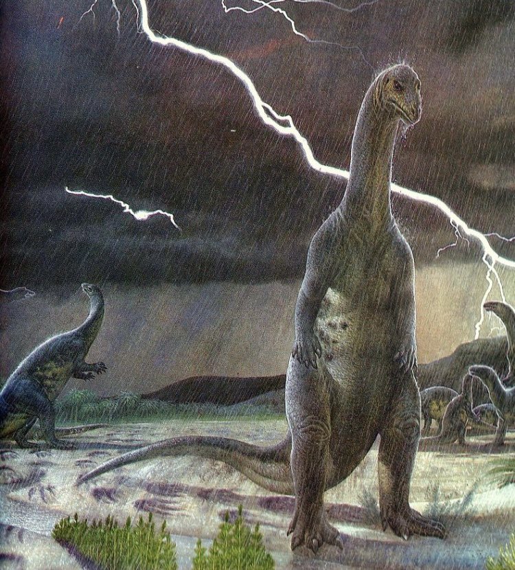 mastergoobway's tweet image. How it feels to have one beer left in the fridge