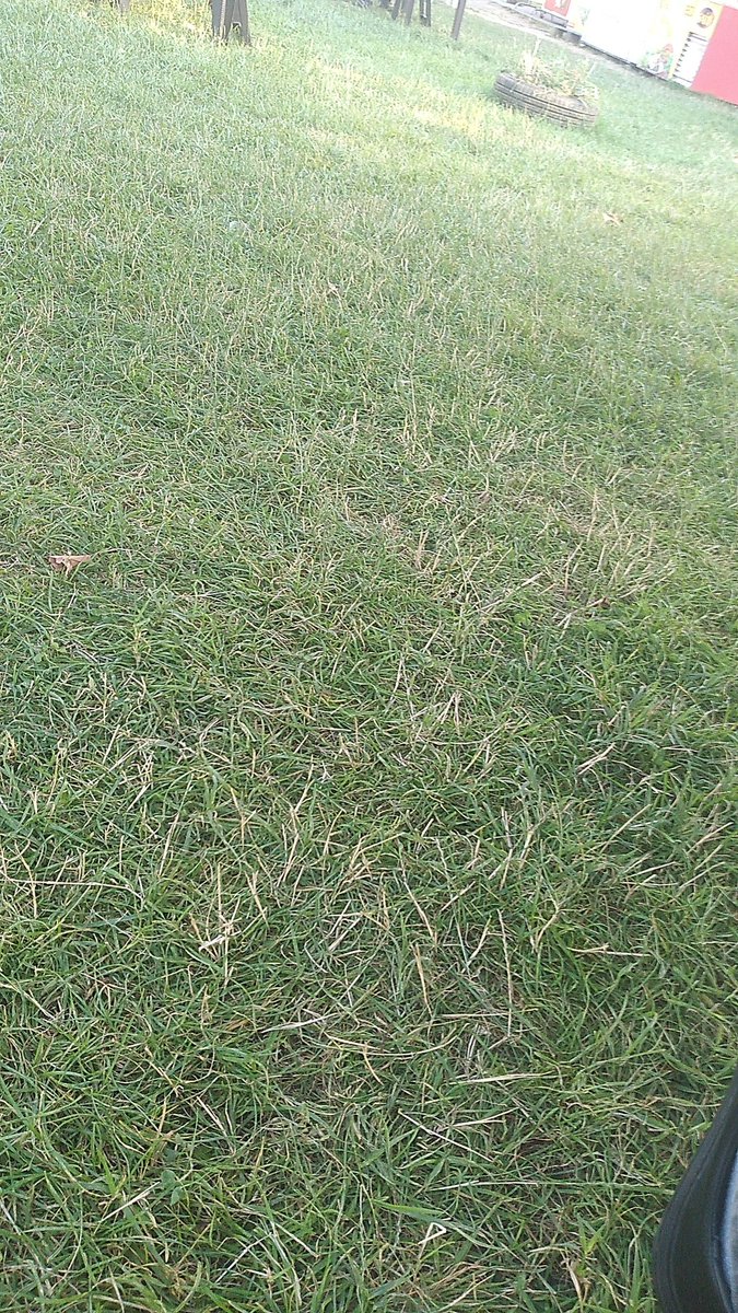 Cay var  içersen ben var istersen