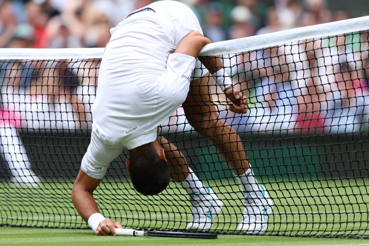 Wimbledon tweet media