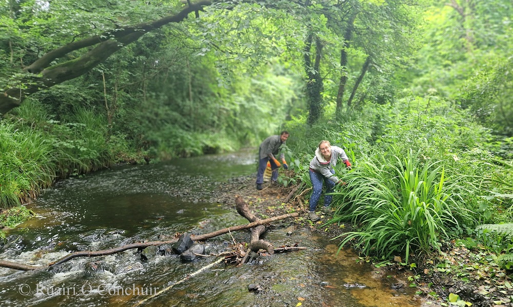 Major River Clean-Up this past wk-end.

25 local volunteers collected almost 30 bags of litter across 9 different sites on the Inagh-Ballymacraven rivers 

A Resilient Community: A Resilient River - Working to #Restore #Protect #Enhance 

<a href="/Fallshotel/">Falls Hotel & Spa</a> <a href="/EPACatchments/">EPA Catchments</a> <a href="/GreenerClare/">Greener Clare</a>